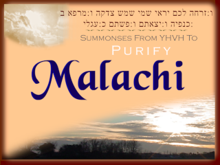 Image for Malachi: Summonses From YHVH To Purify