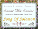 Song Of Solomon online focused commentary